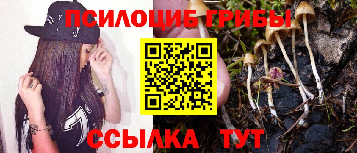 Елабуга  Галлюциногенные грибы мицелий  Вход с VPN 