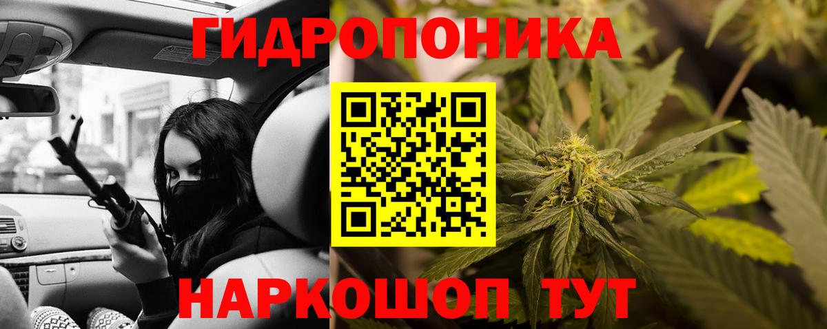 Бошки Шишки Amnesia Елабуга